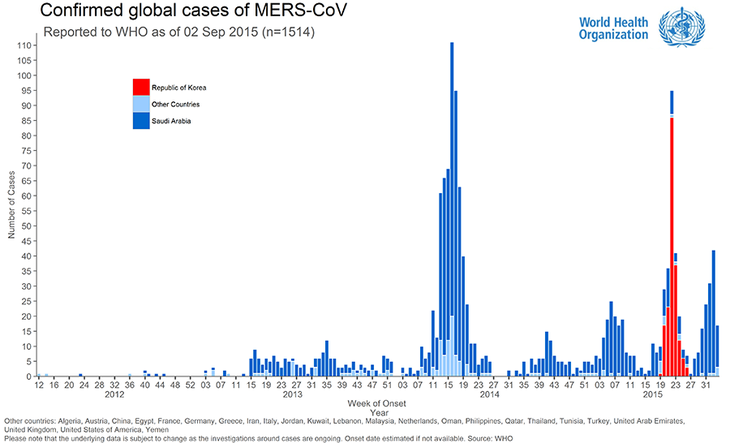 WHO warns of risk of new MERS outbreak - ảnh 1